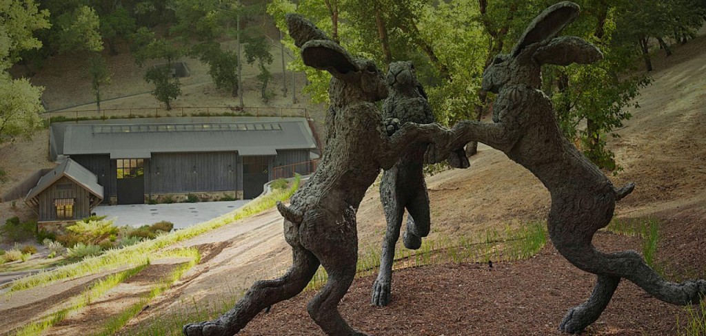 Dancing Hares Vineyard