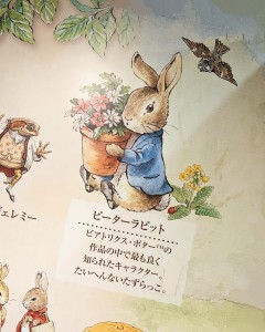 ピーターラビット１６