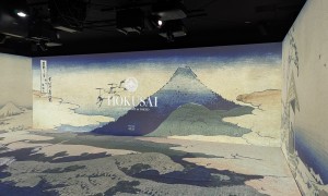 ホクサイ５