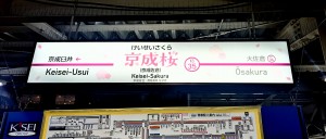 水曜日２５－１８９