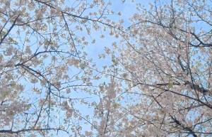 水曜日２５－２２４