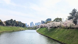 水曜日２５－２２６