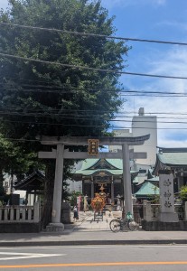 柏