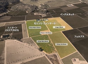 morisoli_vineyard_vineyards_map