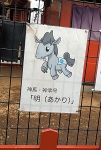 水曜日２６－４１