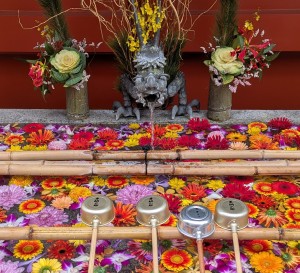 水曜日２６－２１