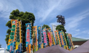 水曜日２６－２７０
