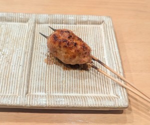 鳥はし13